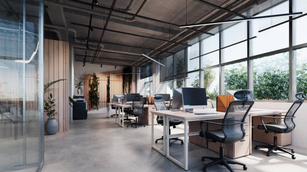 Professional Roller Blinds for Offices in Delhi &amp;amp; NCR